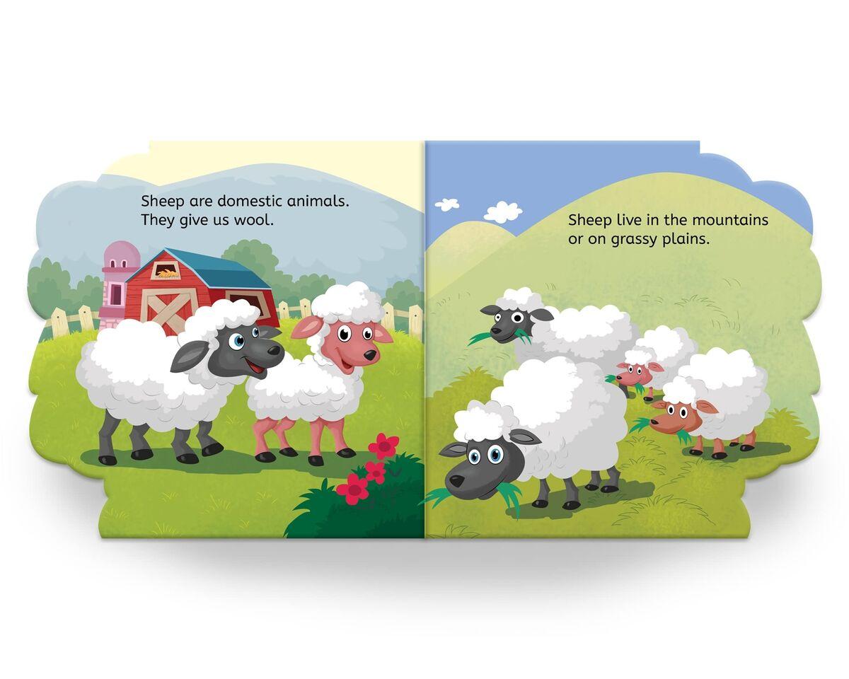 My first shaped board book: illustrated sheep - animal picture book for kids age 2+ board book miniatura 2