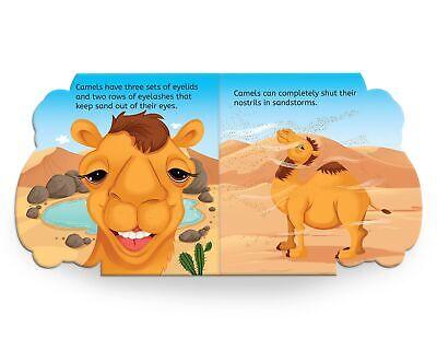 My first shaped board book: illustrated camel - animal picture book for kids age 2+ board book miniatura 2