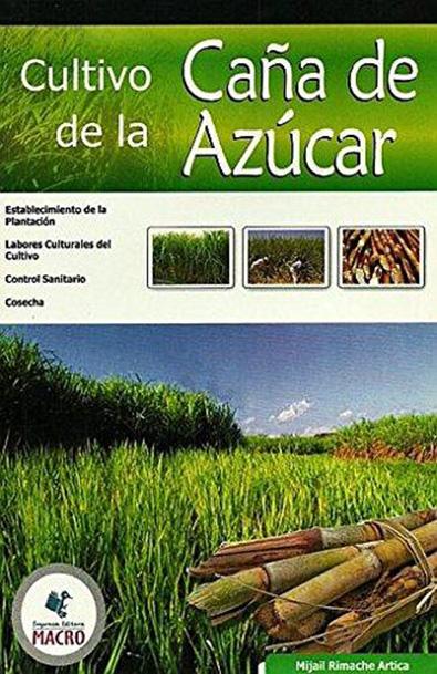 Cultivo de caña de azúcar