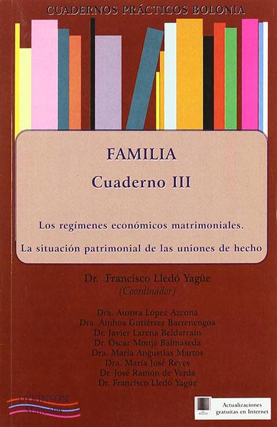 Los regimenes economicos matrimoniales. la situacion patrimonial de las uniones de hecho