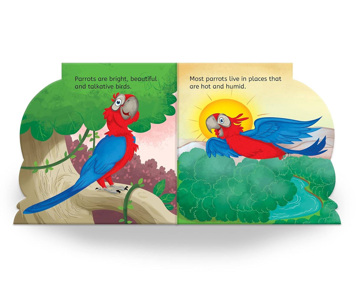 My first shaped board book: illustrated parrot - bird picture book for kids age 2+ board book miniatura 2