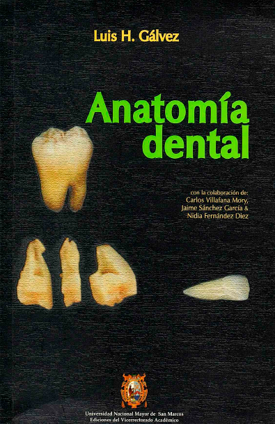 Anatomía dental