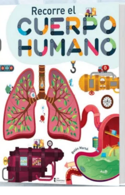 Recorre el cuerpo humano, belen martul