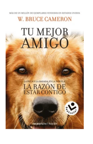 La razòn de estar contigo