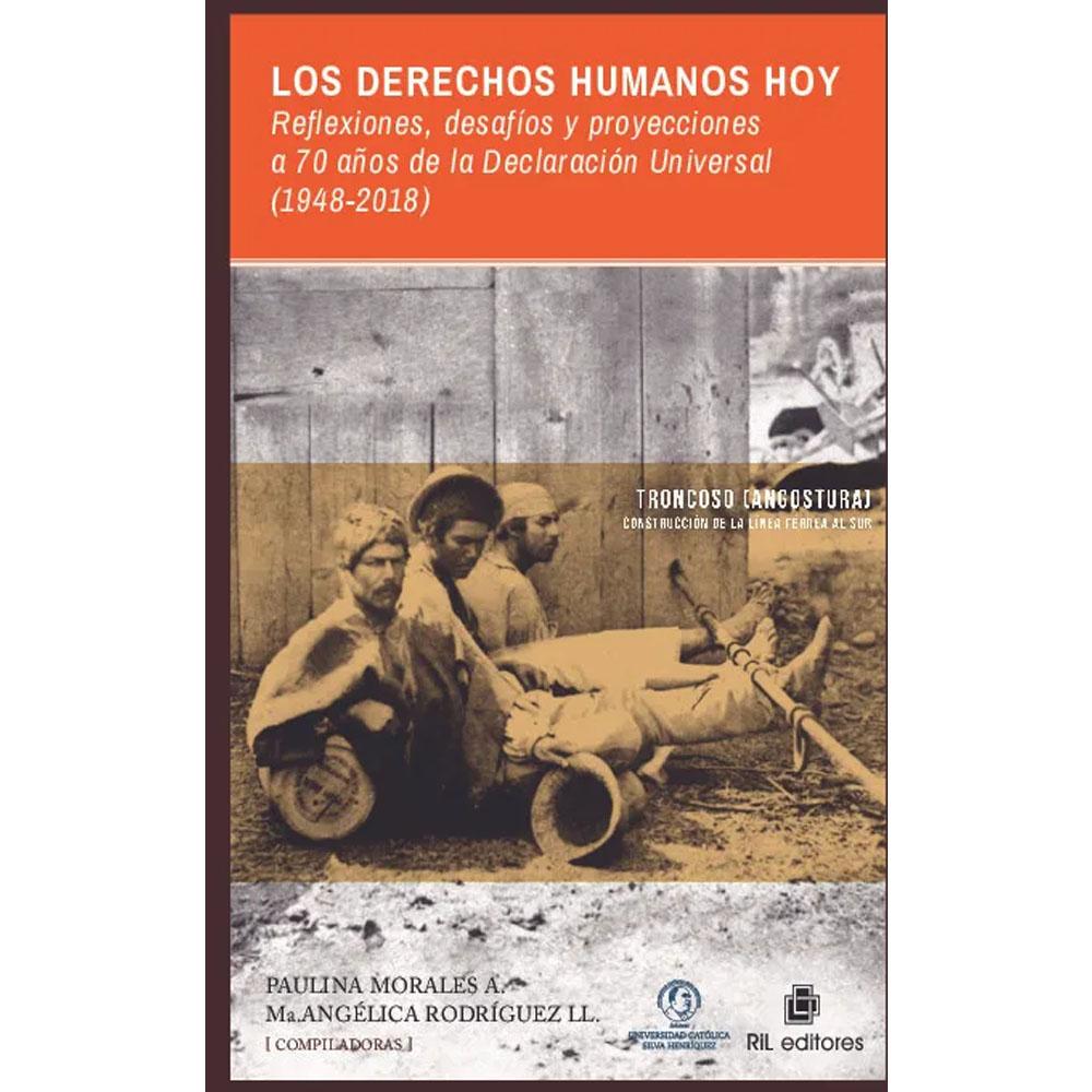 Los derechos humanos hoy reflexiones desafios y proyecciones a 70 anos de la declaracion universal 1