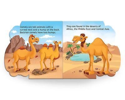 My first shaped board book: illustrated camel - animal picture book for kids age 2+ board book miniatura 3