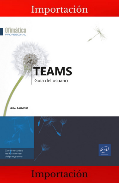 Teams - guía de usuario