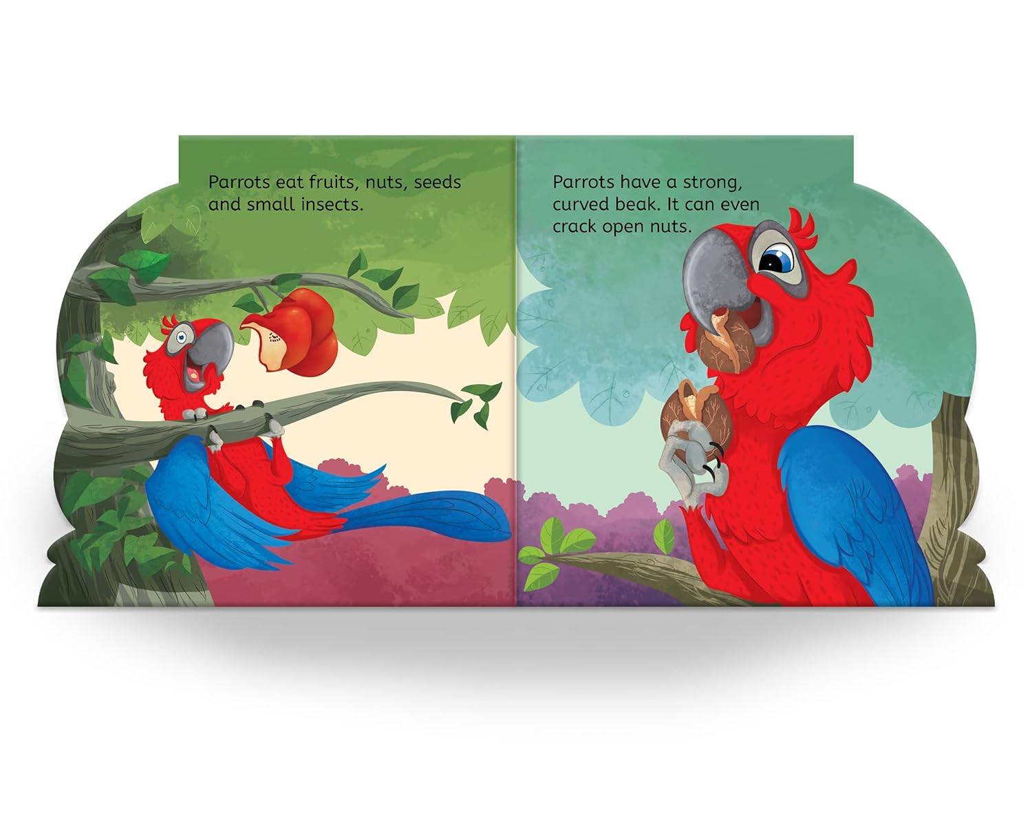 My first shaped board book: illustrated parrot - bird picture book for kids age 2+ board book miniatura 3
