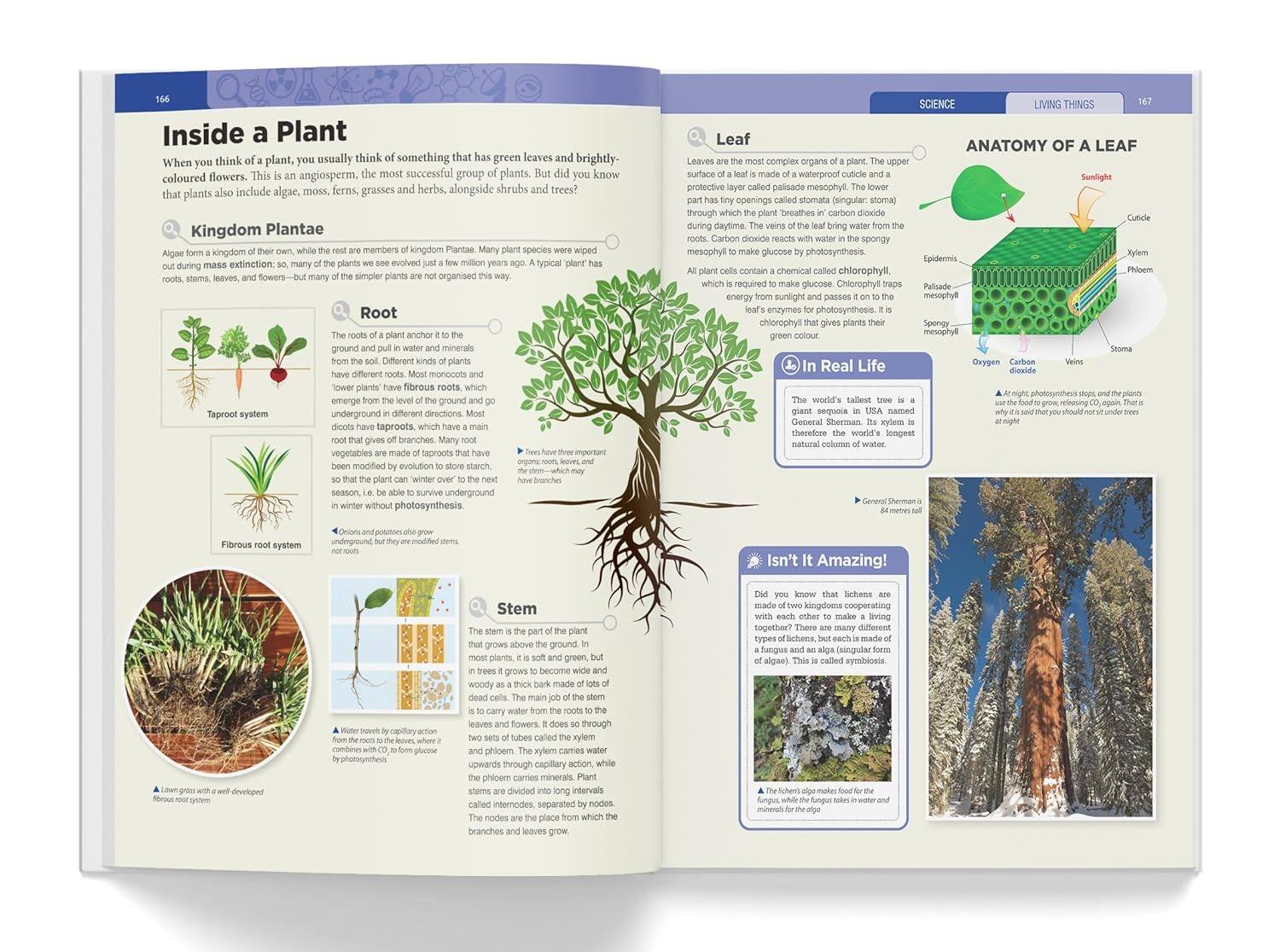 Knowledge encyclopedia - science miniatura 4