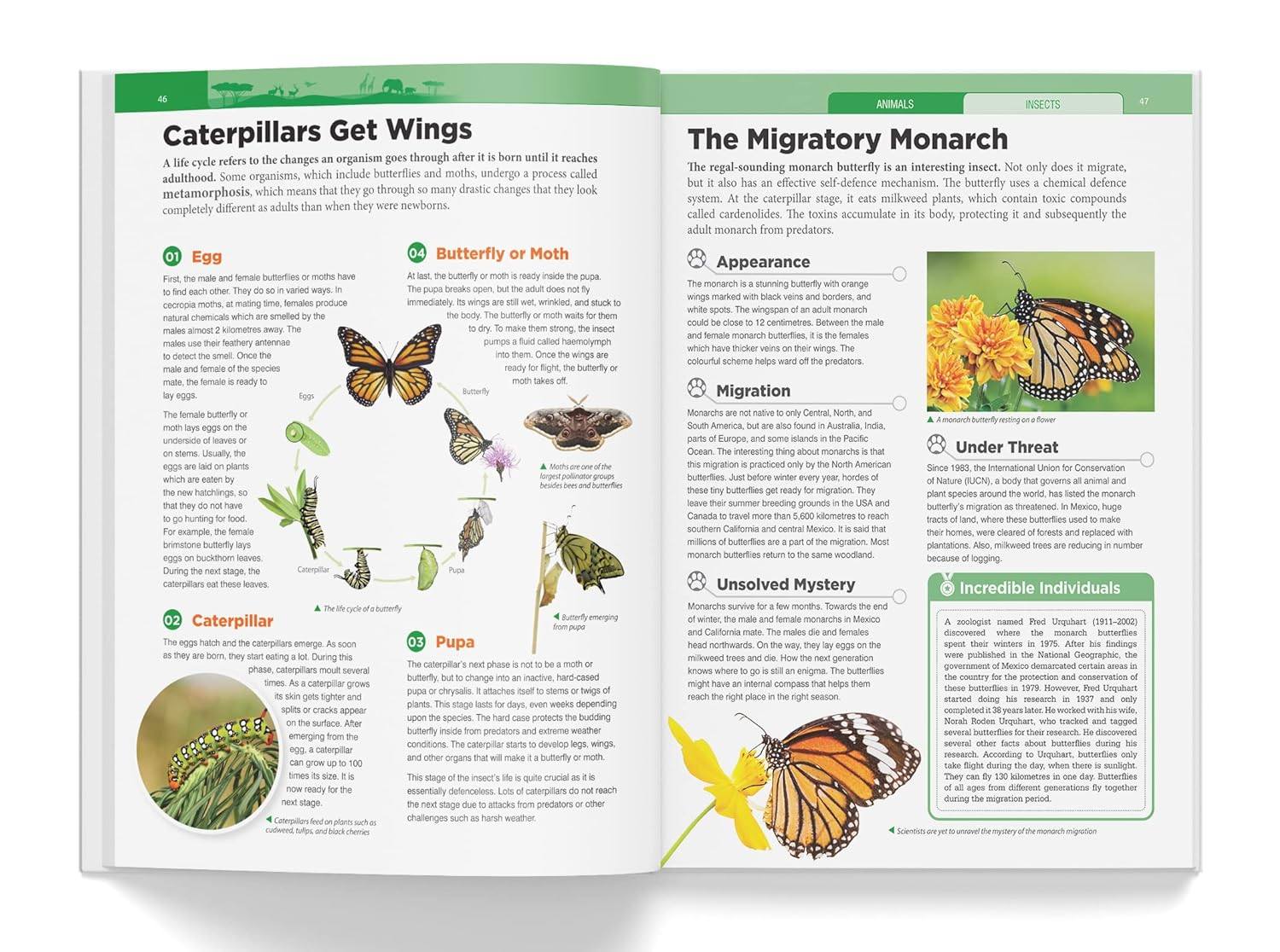Knowledge encyclopedia - animals miniatura 3