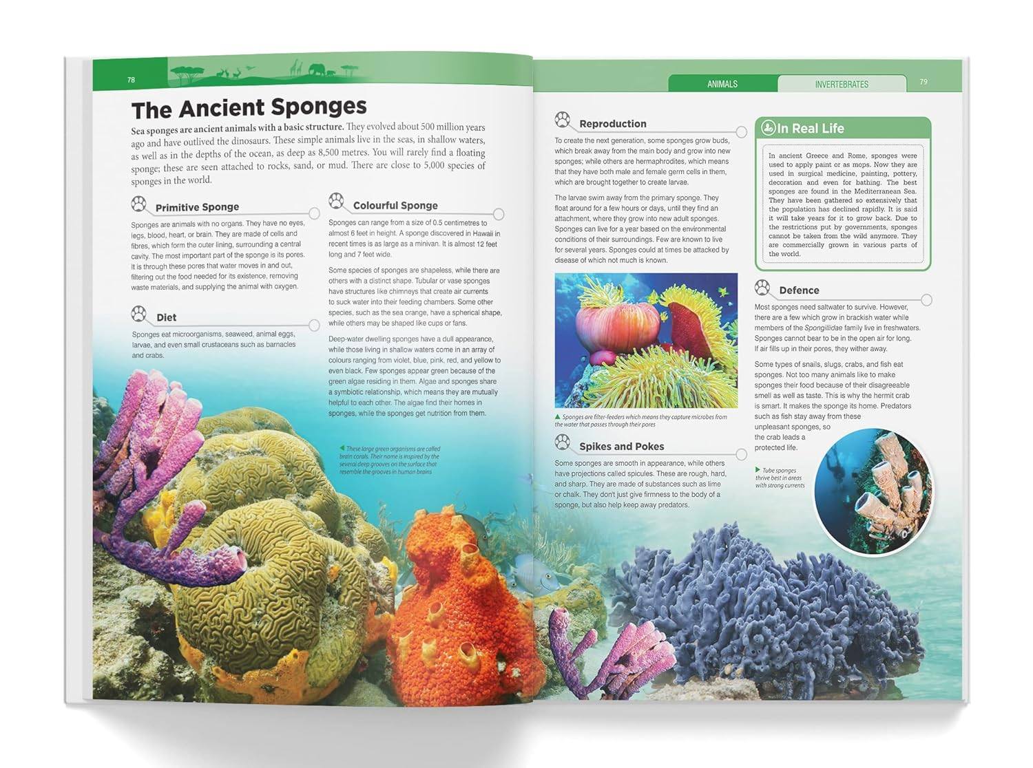 Knowledge encyclopedia - animals miniatura 4