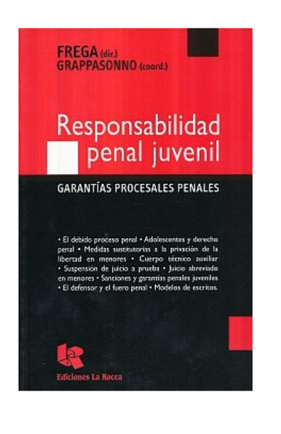 Responsabilidad penal juvenil. garantias procesales penales