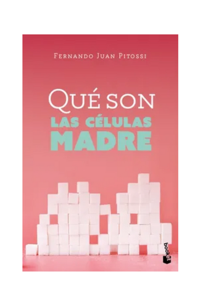 Qué son las células madre