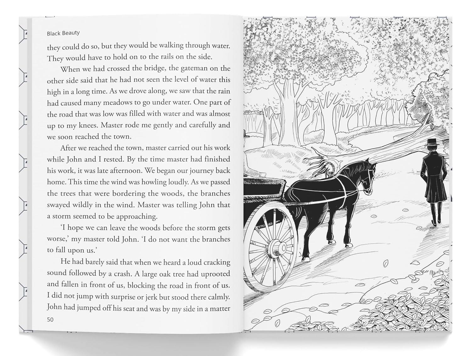 Black beauty: illustrated abridged children classic english novel with review questions (hardback) miniatura 2