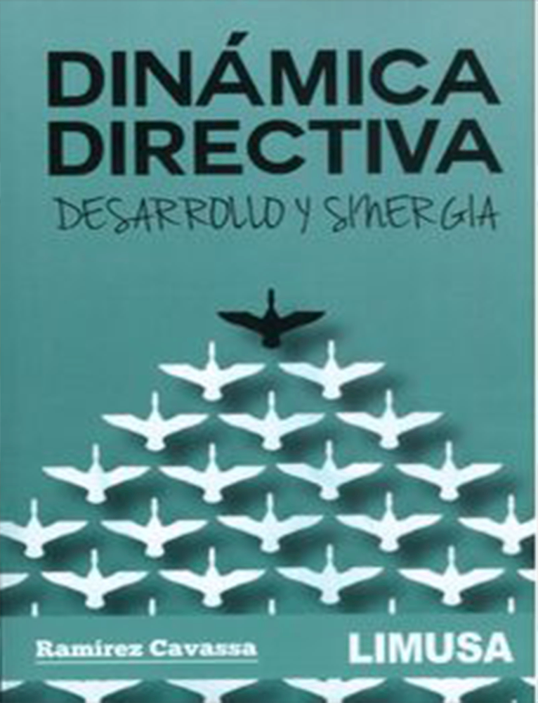 Dinamica directiva desarrollo y sinergia