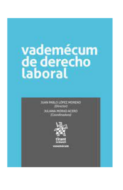 Vademécum de derecho laboral