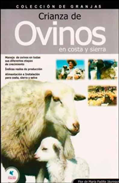 Crianza de ovinos (costa y sierra)
