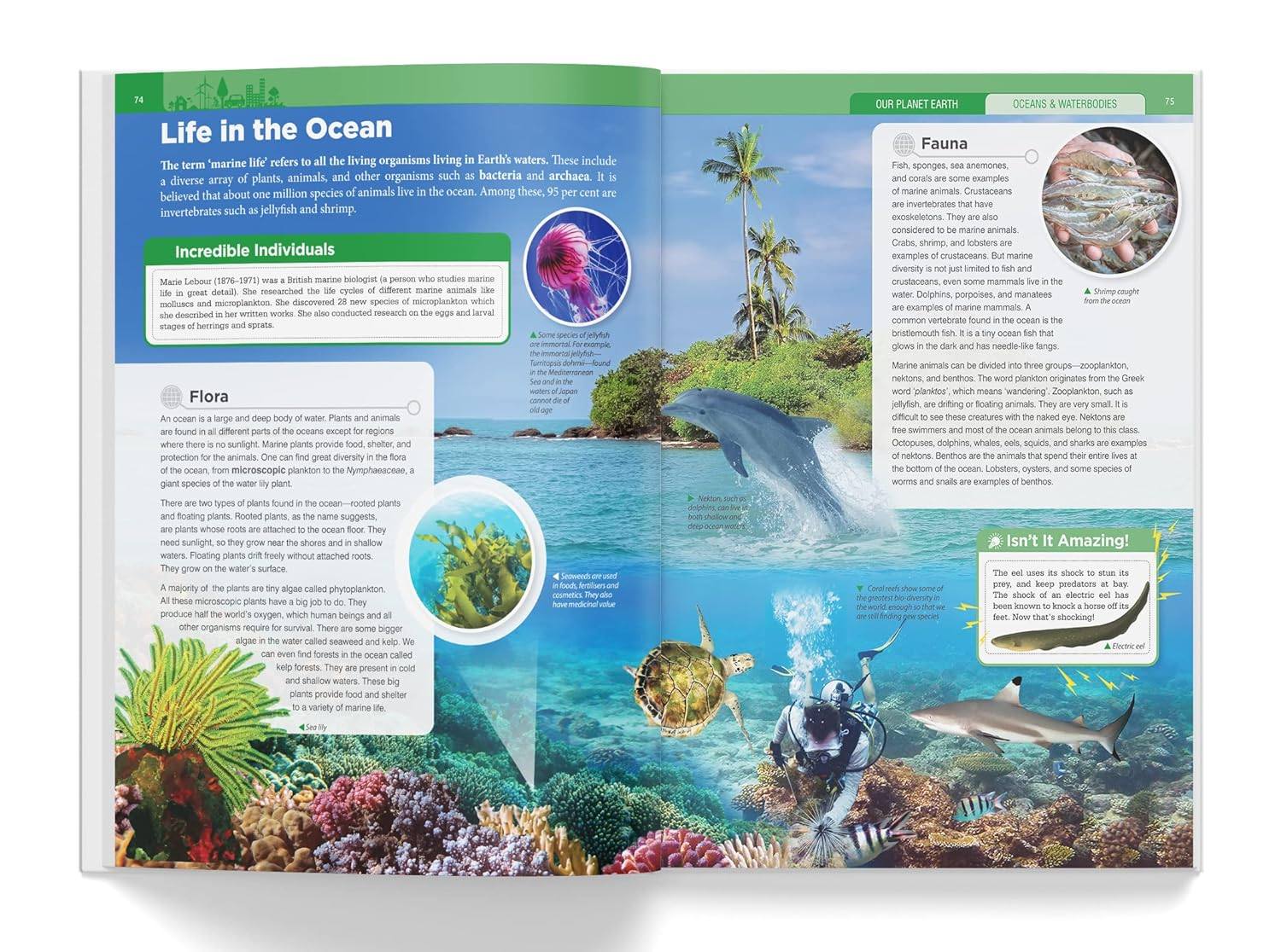Knowledge encyclopedia - our planet earth miniatura 2