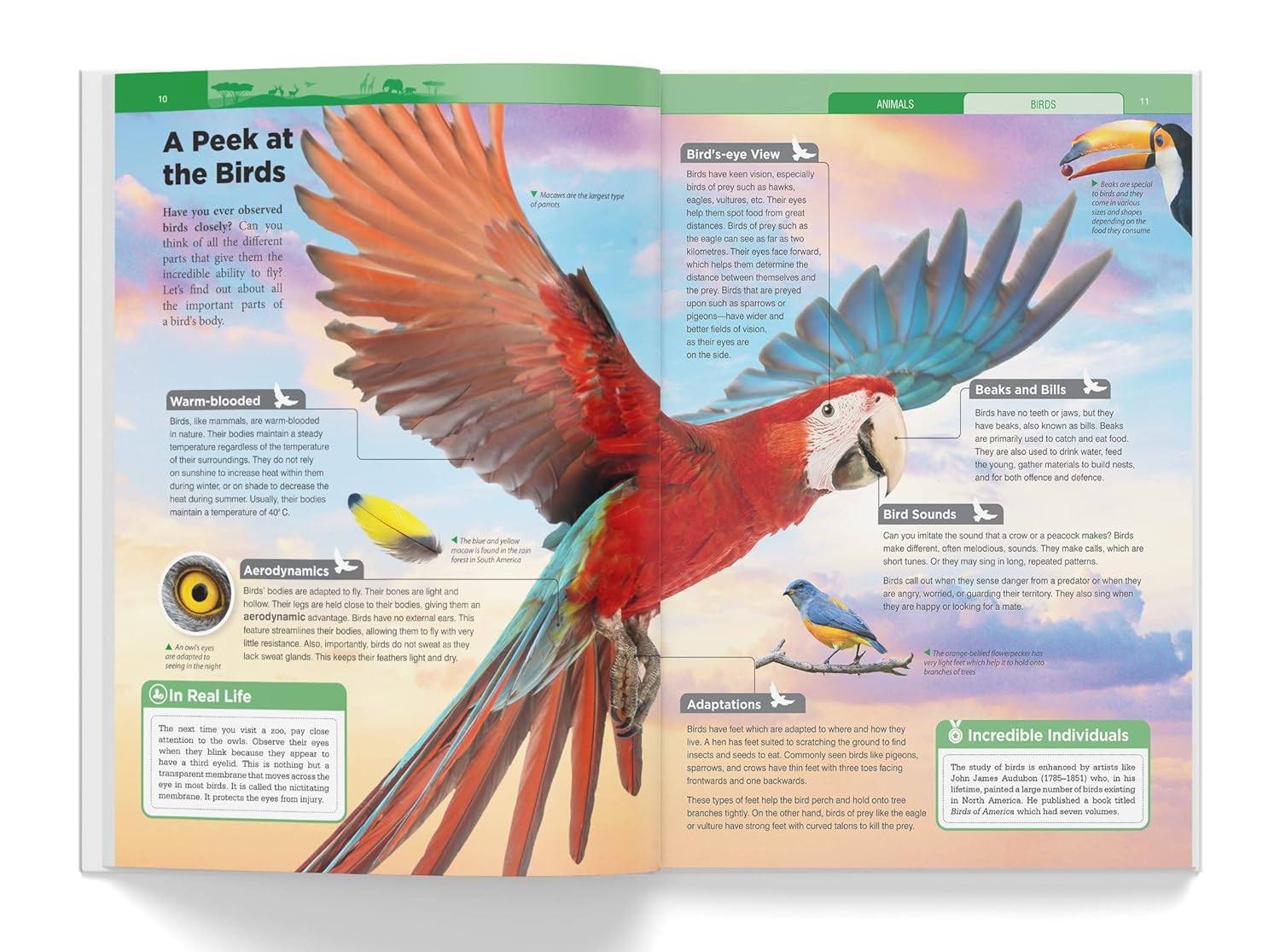 Knowledge encyclopedia - animals miniatura 2