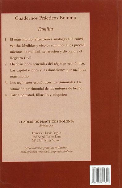Los regimenes economicos matrimoniales. la situacion patrimonial de las uniones de hecho miniatura 2