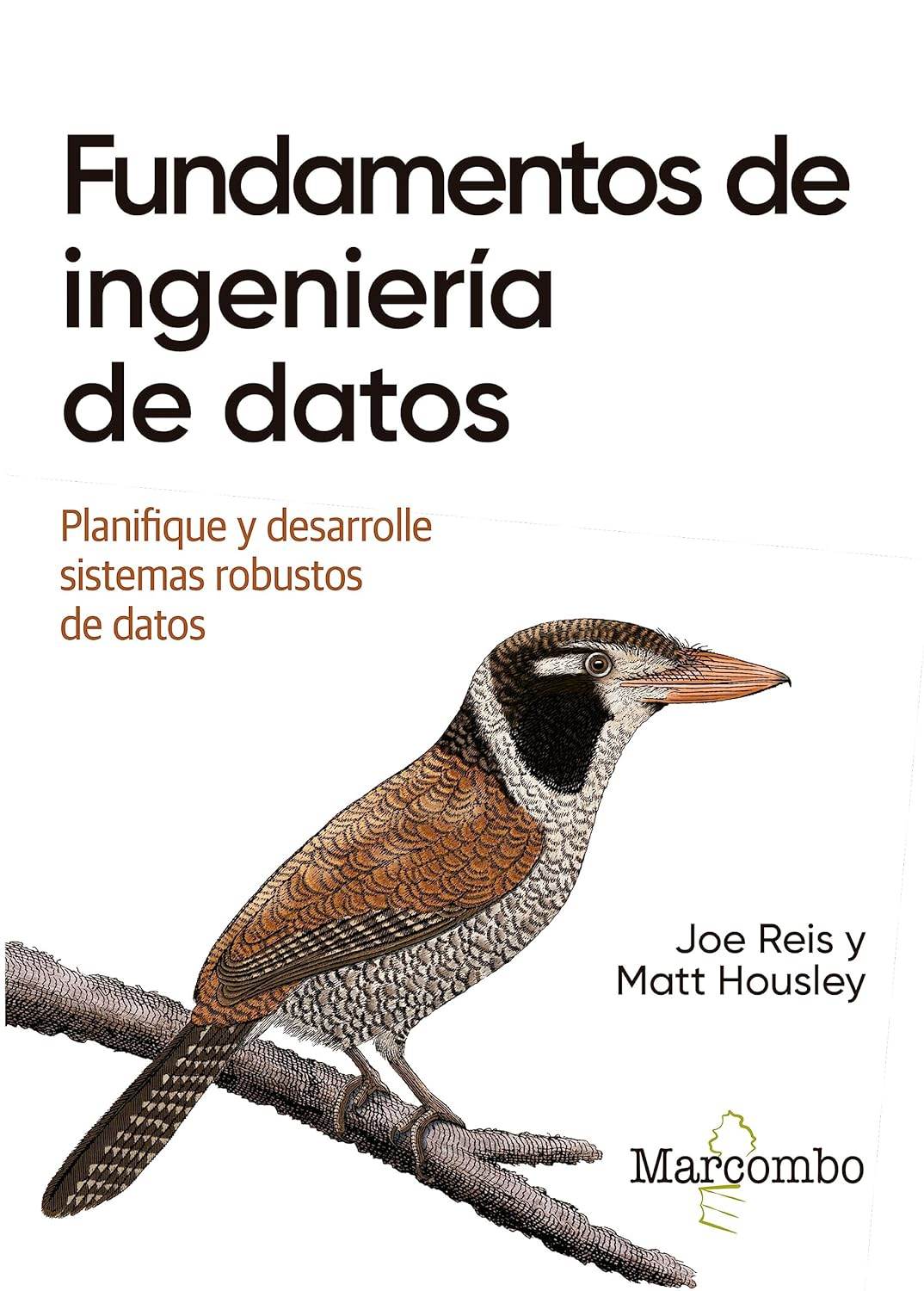 Fundamentos de ingeniería de datos. planifique y desarrolle sistemas robustos de datos
