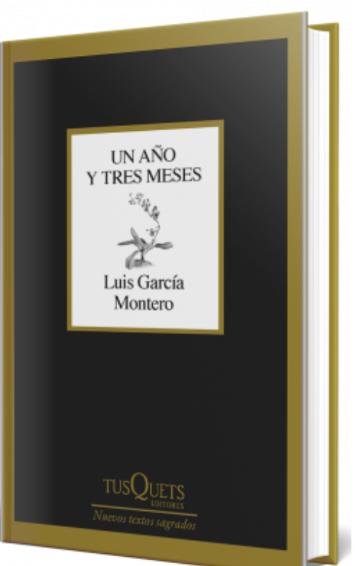 Un año y tres meses