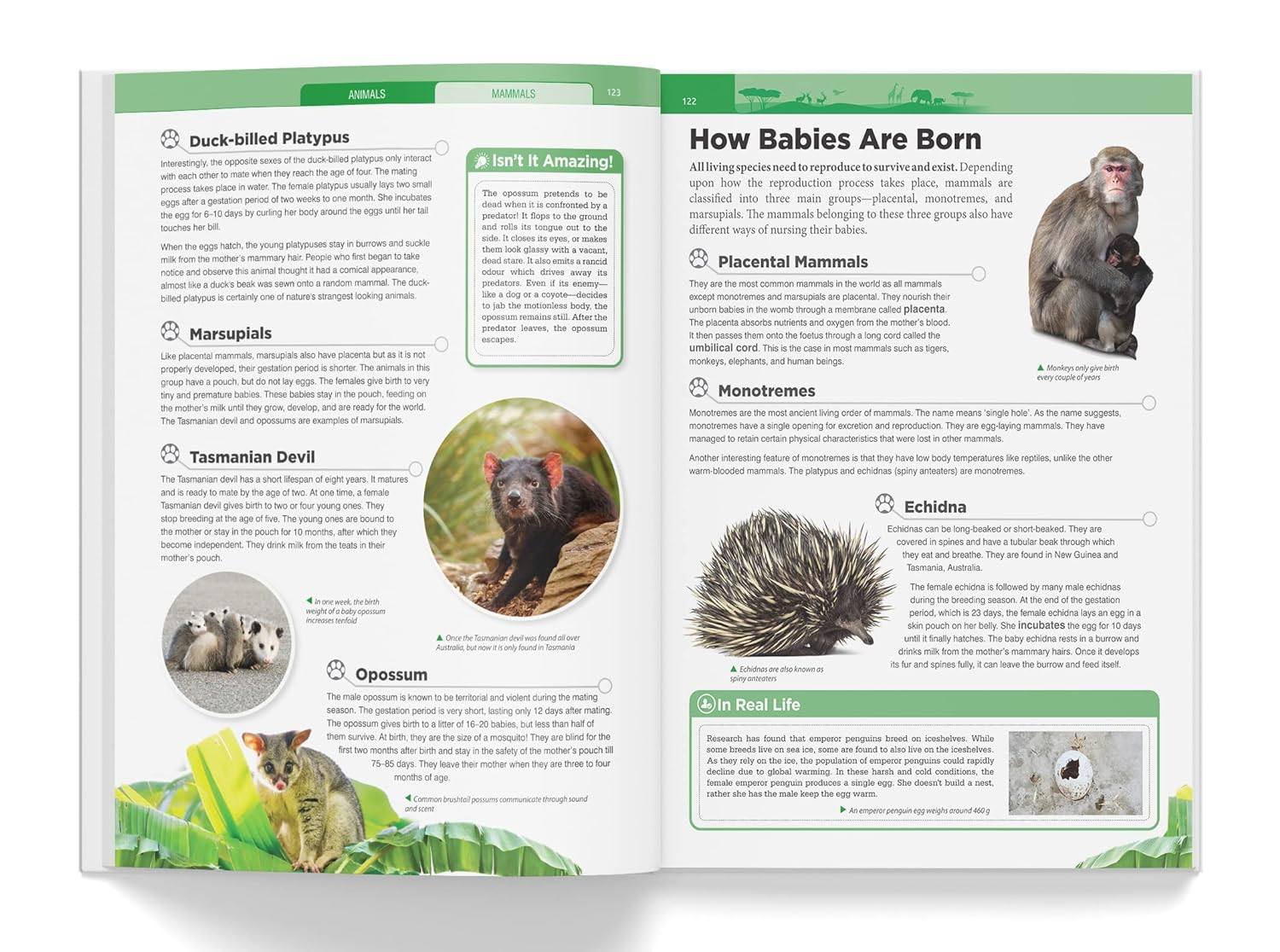 Knowledge encyclopedia - animals miniatura 5