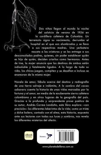 A la sombra del cacao sabanero miniatura 2