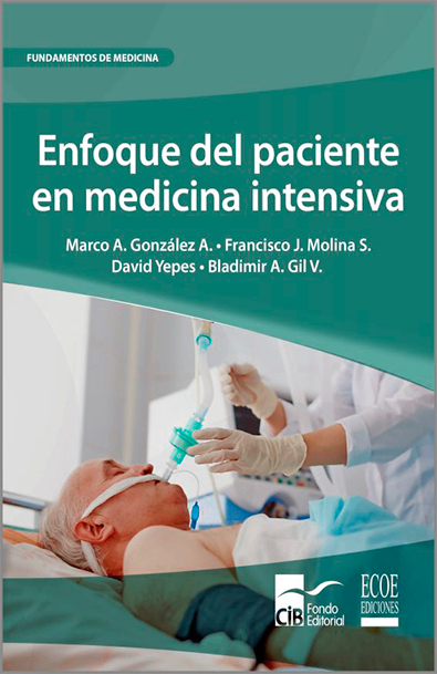 Enfoque del paciente en medicina intensiva 1a ed.