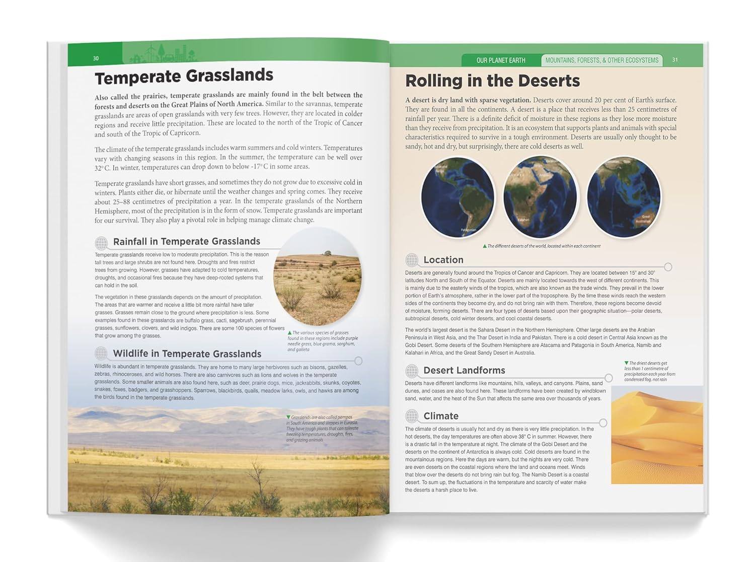 Knowledge encyclopedia - our planet earth miniatura 3