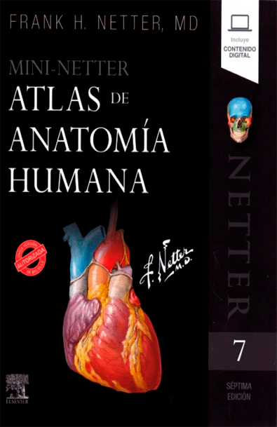 Mini netter. atlas de anatomía humana