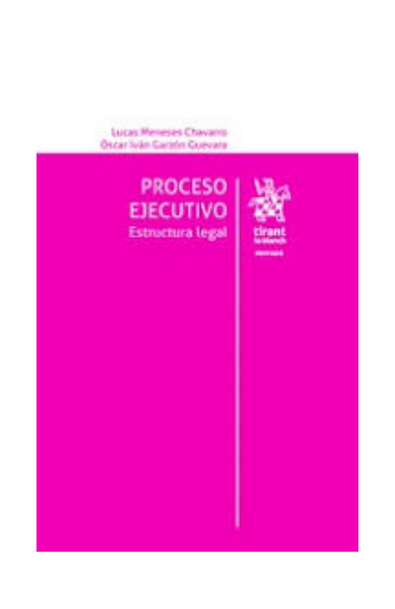 Proceso ejecutivo estructura legal