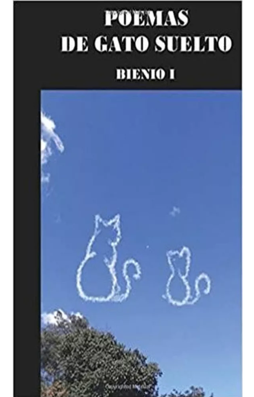 Poemas de gato suelto, esther consuelo consuelo yomayuza