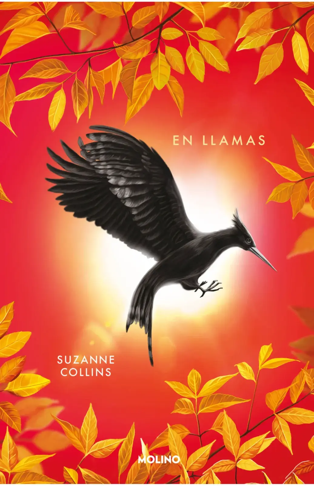 En llamas