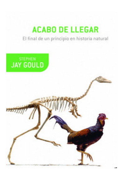 Acabo de llegar +