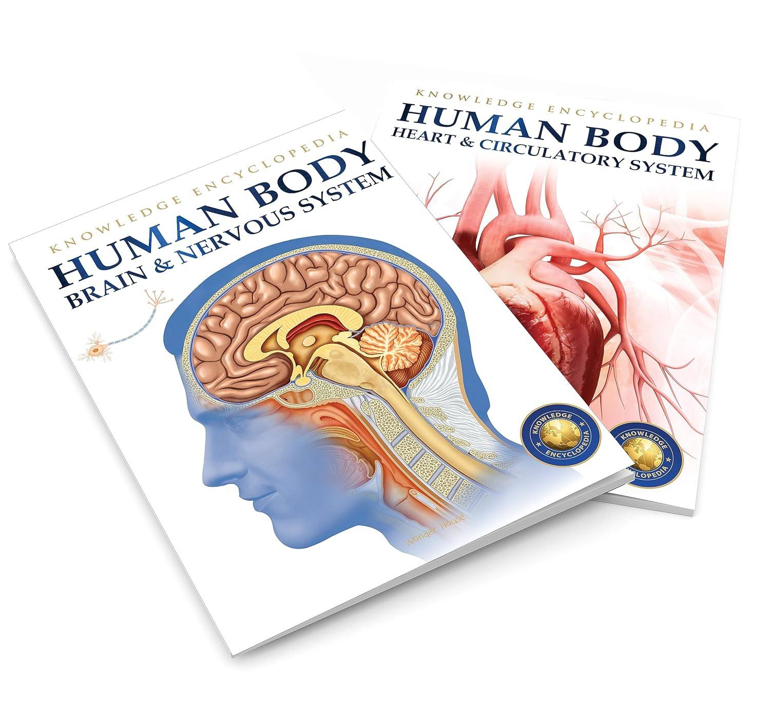 Human Body Box Set: Knowledge Encyclopedia For Children