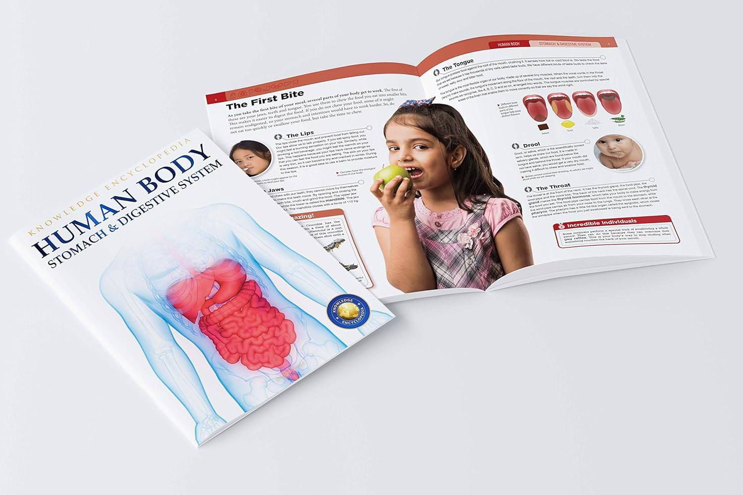 Human Body Box Set: Knowledge Encyclopedia For Children
