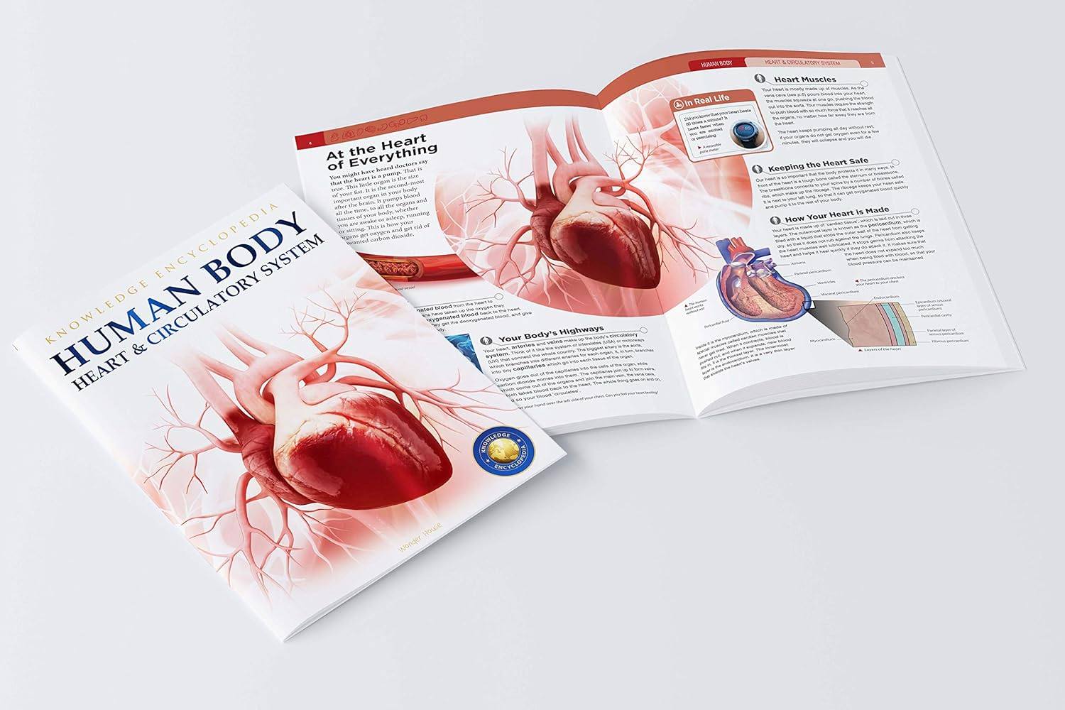 Human Body Box Set: Knowledge Encyclopedia For Children
