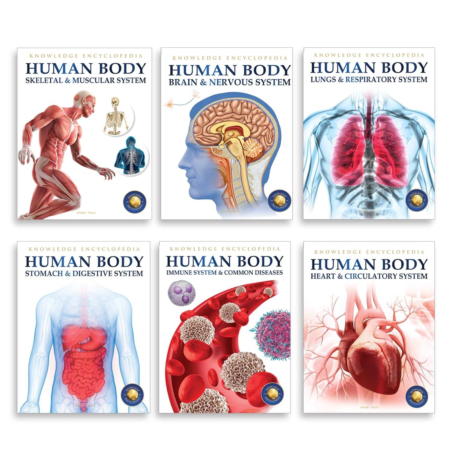 Human Body Box Set: Knowledge Encyclopedia For Children
